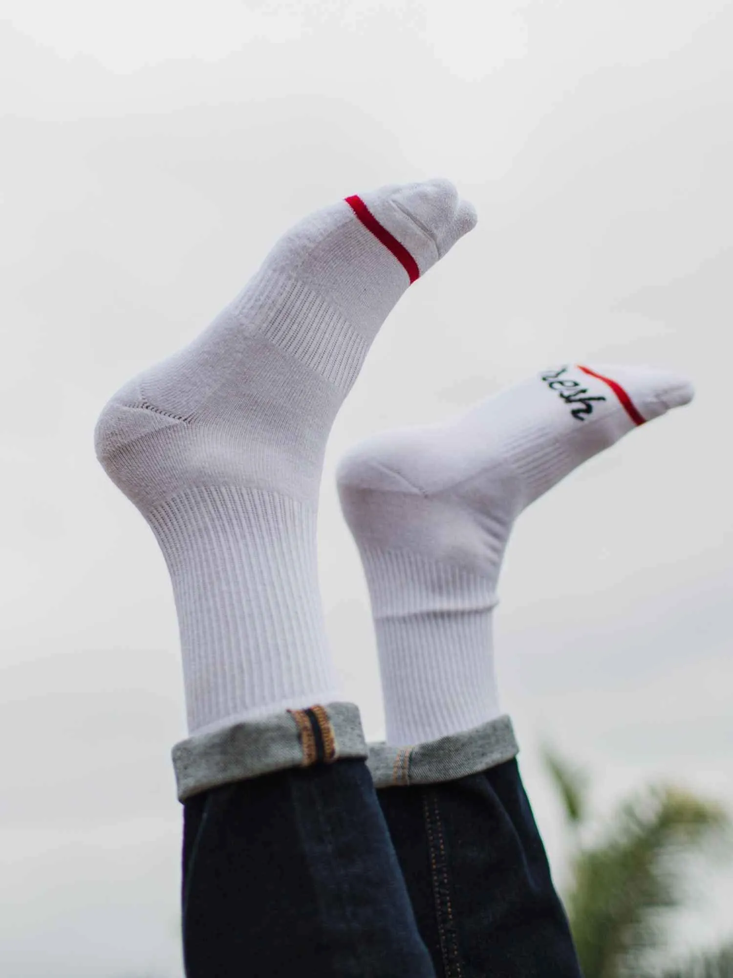 All White 3-Pack Crew Socks