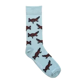 Platypus Socks