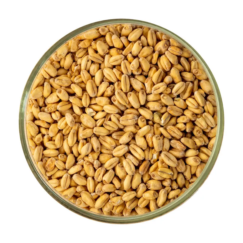 White Wheat Malt