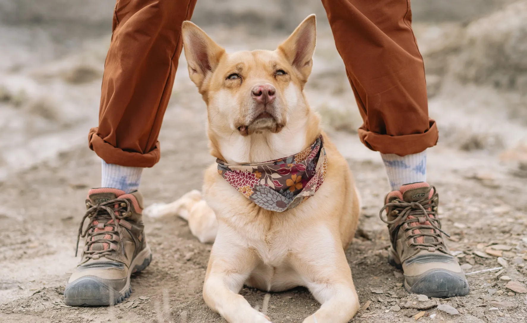 Women's Ridge Flex Waterproof Boot  |  Timberwolf/Brick Dust